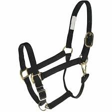 Nylon Halters
